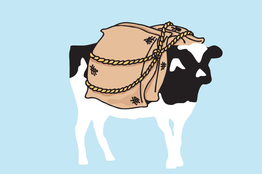 등에 가마니를 올리고 있는 우디