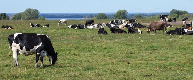 image-from-the-document-manager-3