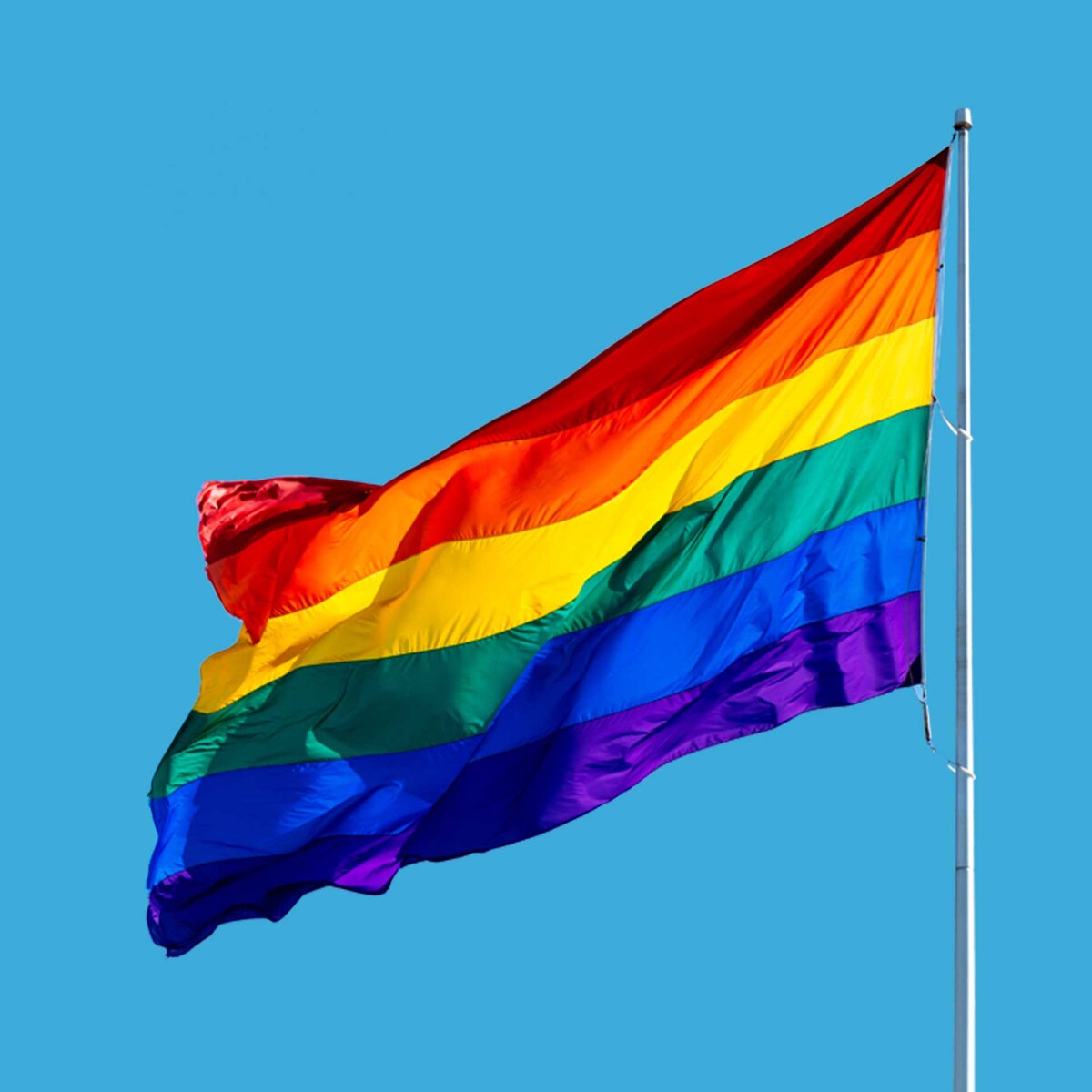 성적 소수자 아이콘